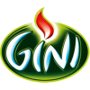 Gini
