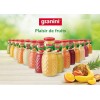 GRANINI