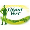 GEANT VERT